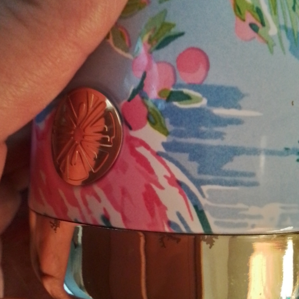 Lilly Pulitzer Squeeze The Day Water Bottle In Floridita Flamingo Print - Picture 8 of 11